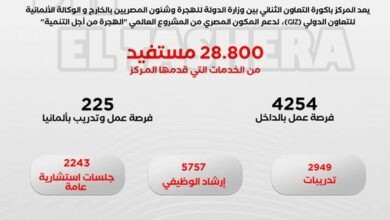 المركز المصري الألماني للوظائف والهجرة وإعادة الإدماج