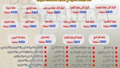 إدراج 50 جامعة مصرية في تصنيف ويبومتركس للاستشهادات المرجعية للعام 2024