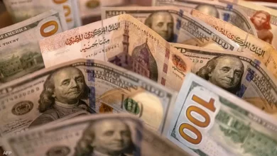 سعر الدولار يستقر بعد تعويم الجنيه